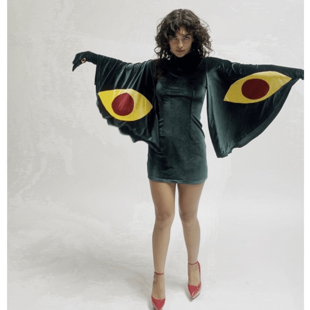 Fashion Brand Company’s Moth Mini Dress in XL. Velvet green fabric, worn once